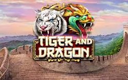 Dragon Tiger Slot